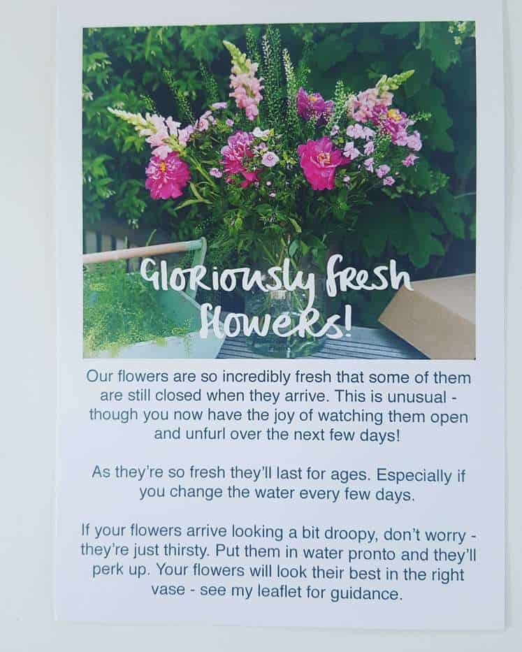 Freddies Flowers Subscription Box