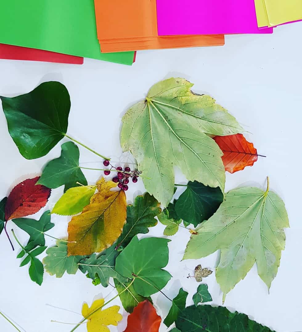 7 Printable Fall Leaf Coloring Pages (great for school)