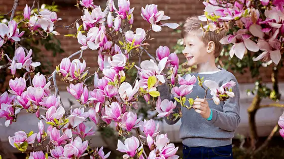 Creative activities for spring