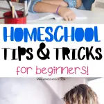 Top Homeschooling Tips for Effective Home Education