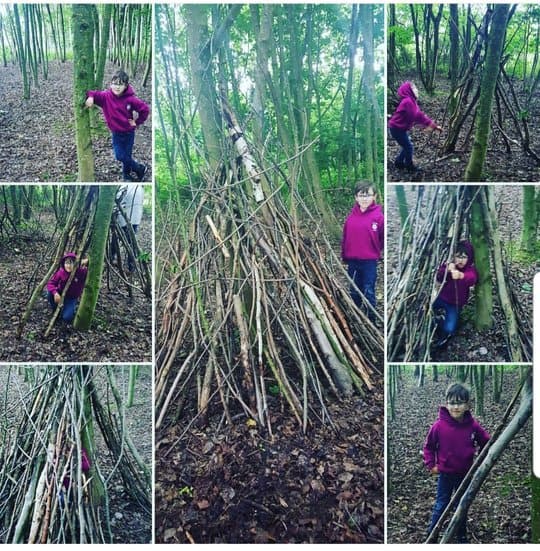 young boy making a den with wooden sticks in forest.