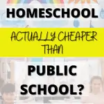 Is homeschool actually cheaper than public school?