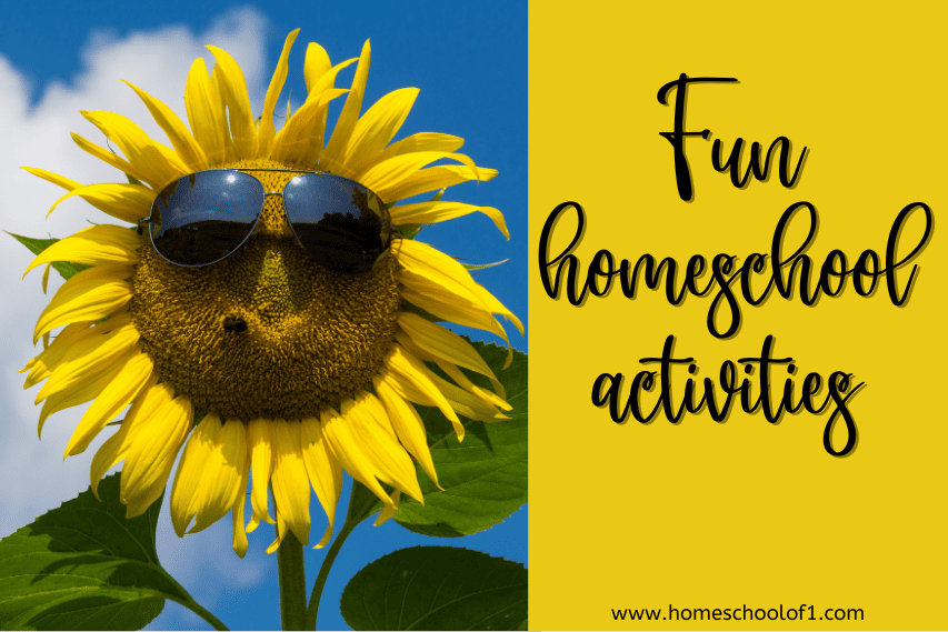 47+ Best Homeschool Activities You Can Do For Fun