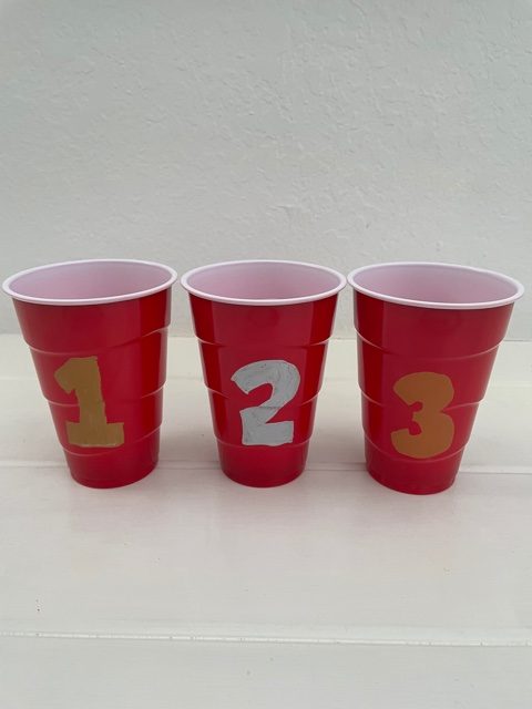 Beer Pong