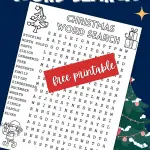 Christmas word search