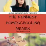 The funniest homeschooling memes