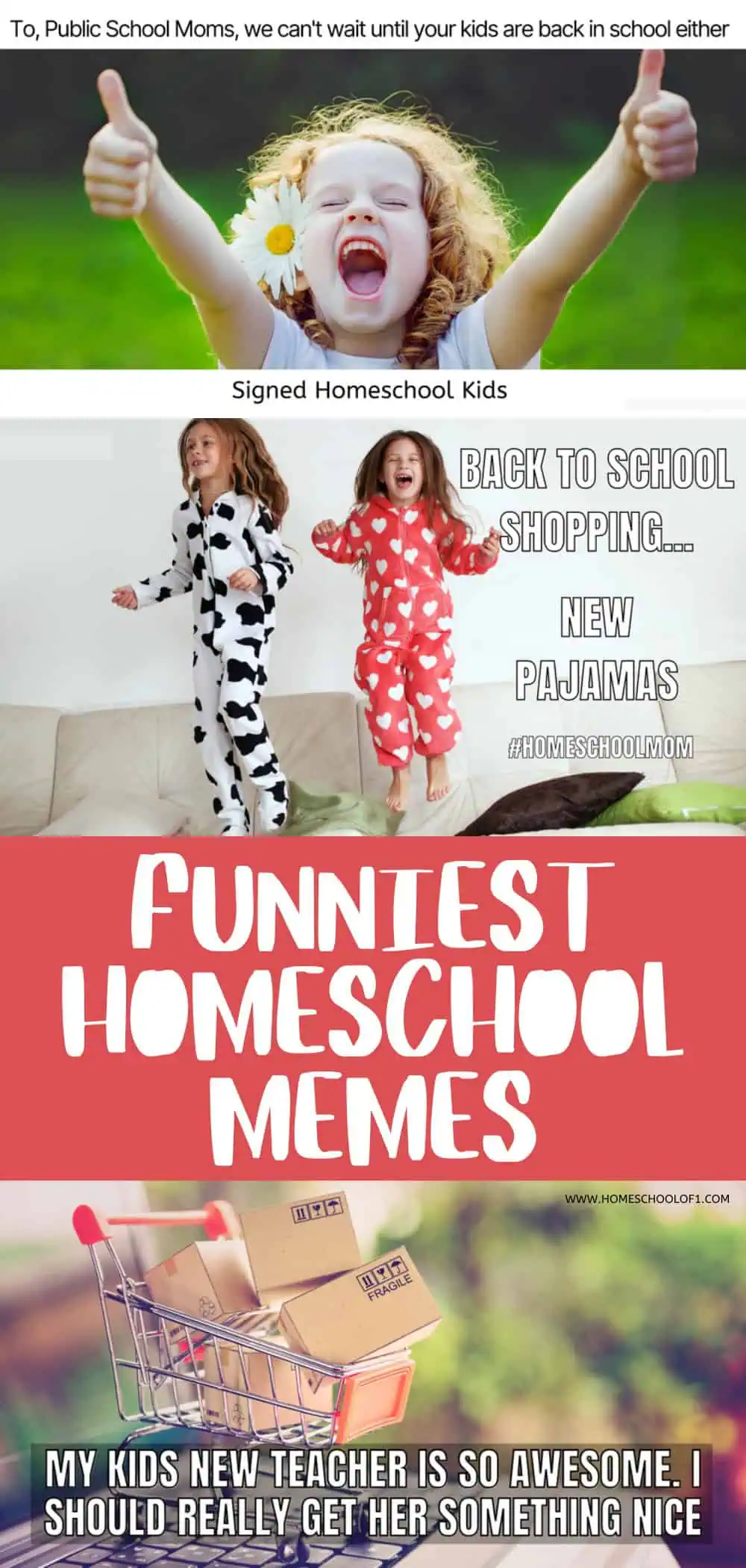 funniest homeschool memes for mom