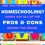 The pros and cons of homeschooling your children