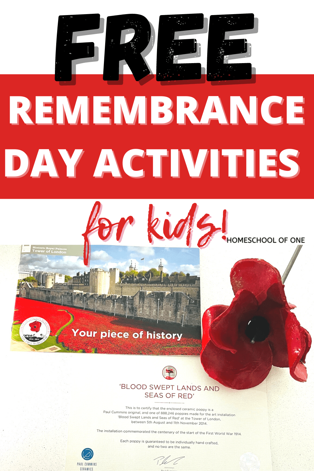 Free Remembrance Day Activities For Kids of All Ages