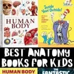 best anatomy books for kids feating 6 different books about the human body