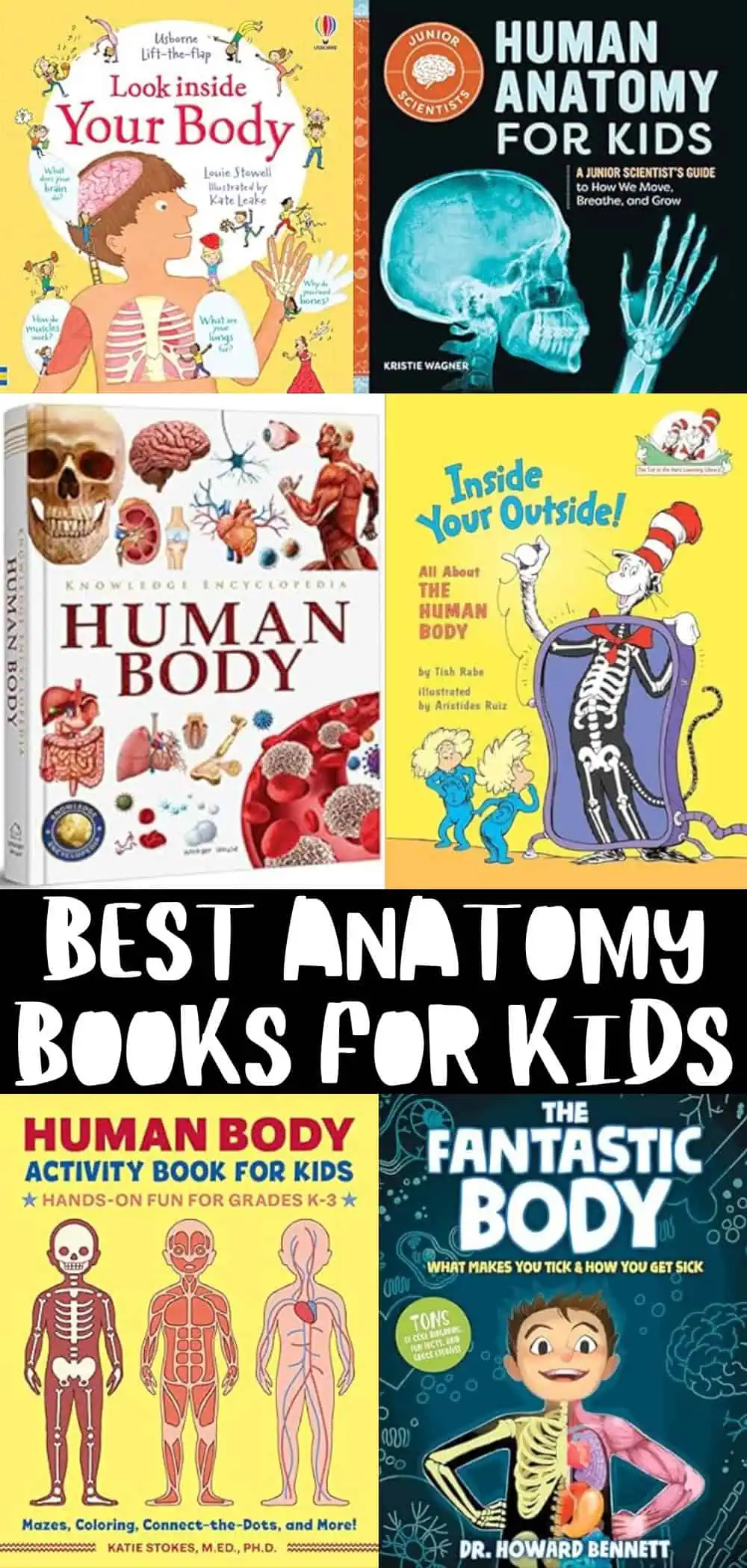 best anatomy books for kids feating 6 different books about the human body