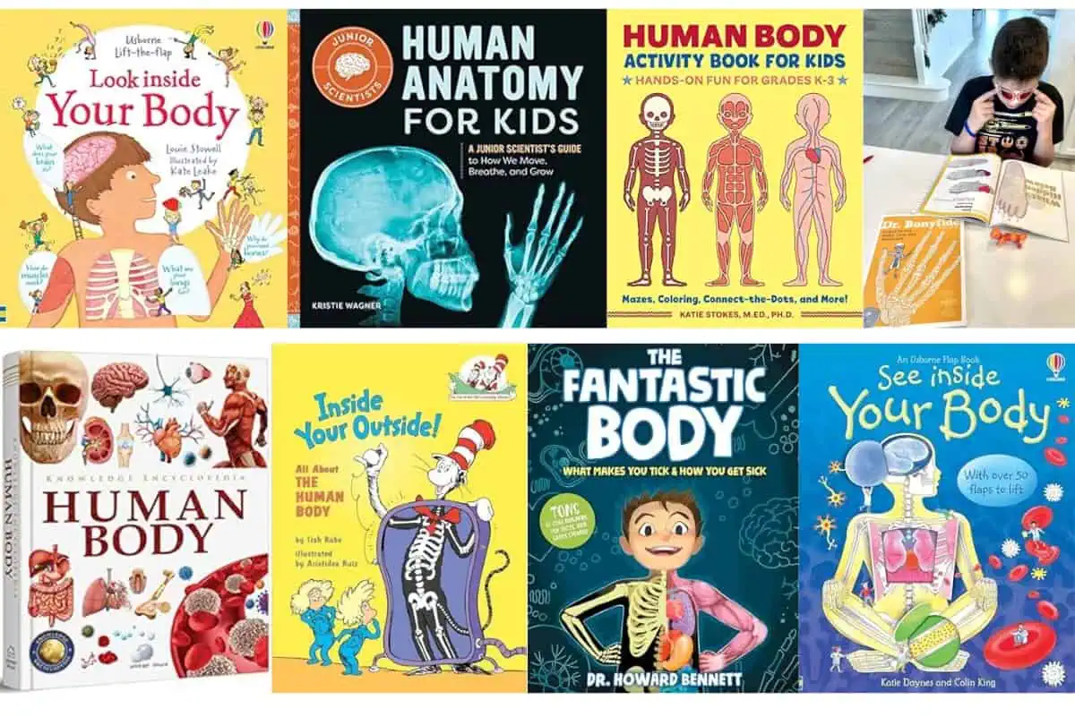 human anatomy books for kids featuring 8 different books about the human body for kids