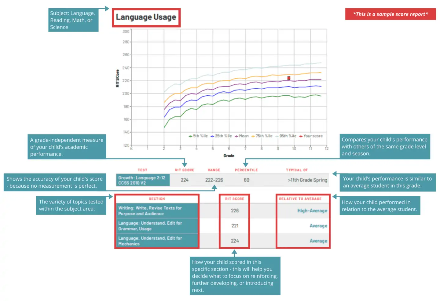 Mapping Tests Graph