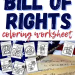 Bill of Rights Worksheets