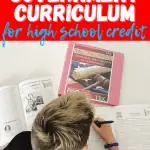 government curriculum high school