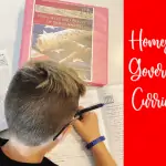 homeschool government curriculum