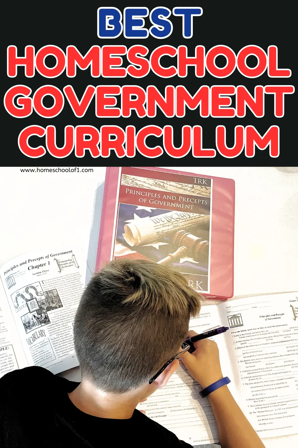 high school government curriculum