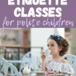 online etiquette classes