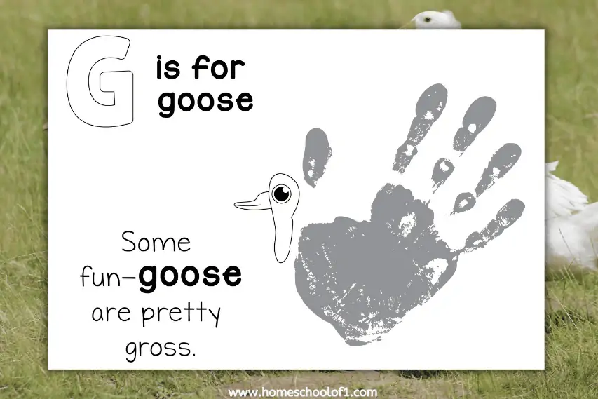 g is for goose