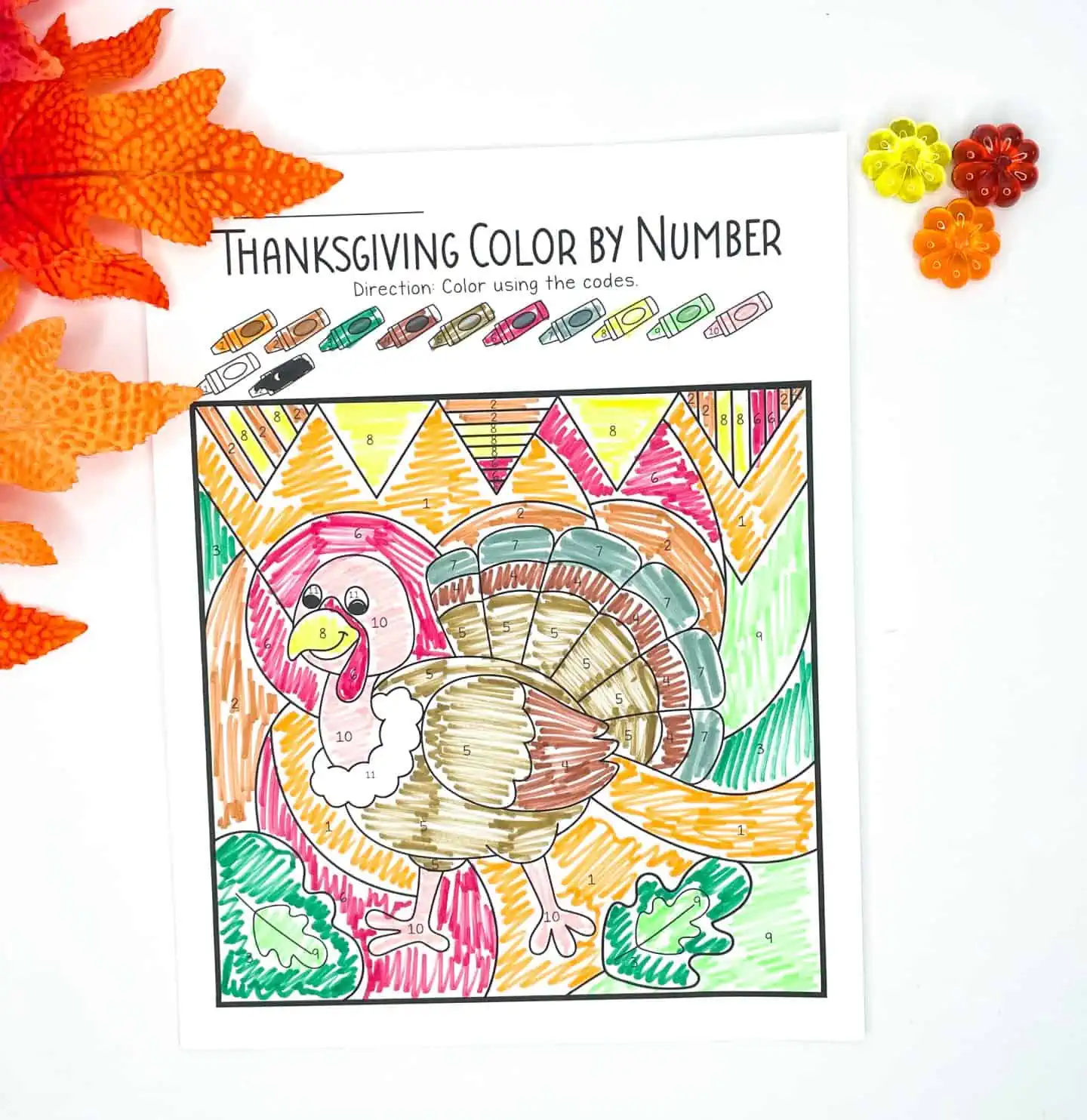 turkey color by number