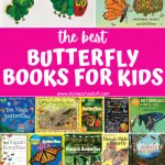 Butterfly books for kids