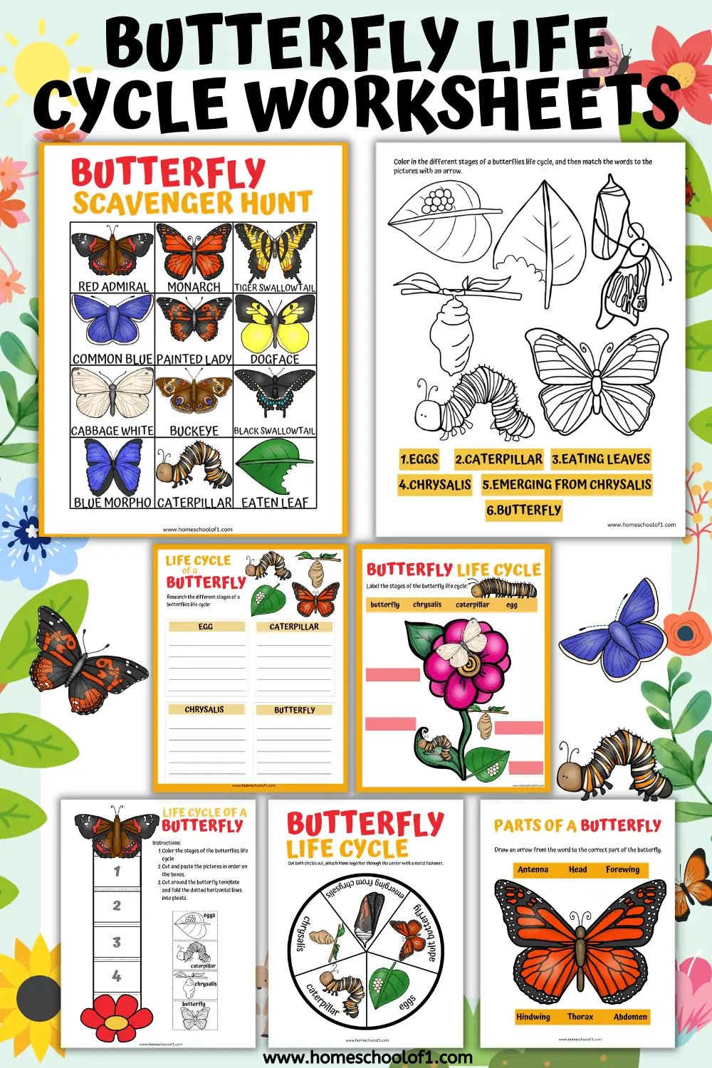 Life Cycle Of A Butterfly Worksheets 7 Free Printables 