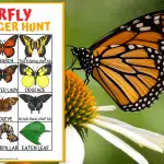 butterfly scavenger hunt