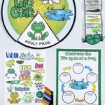 frog life cycle printables