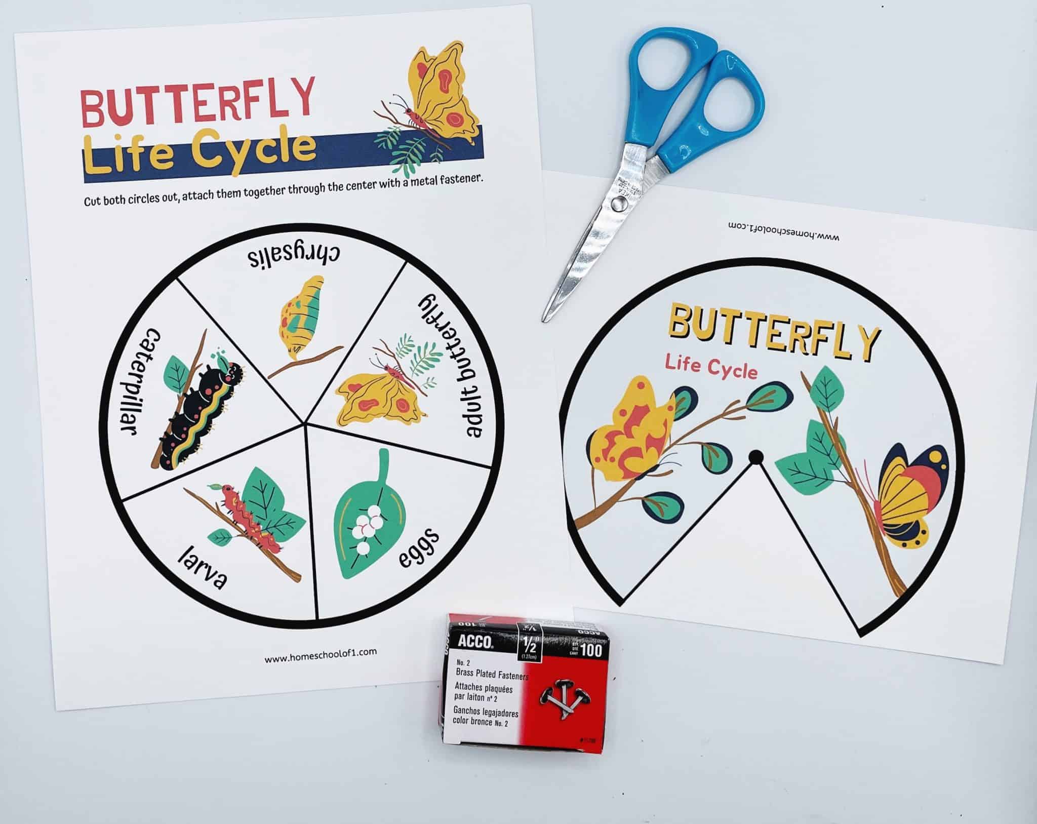 Life Cycle of a Butterfly (10 free printables) Homeschool of One