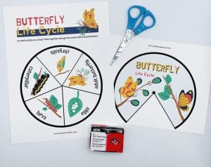 Life Cycle of a Butterfly (10 free printables) - Homeschool of One