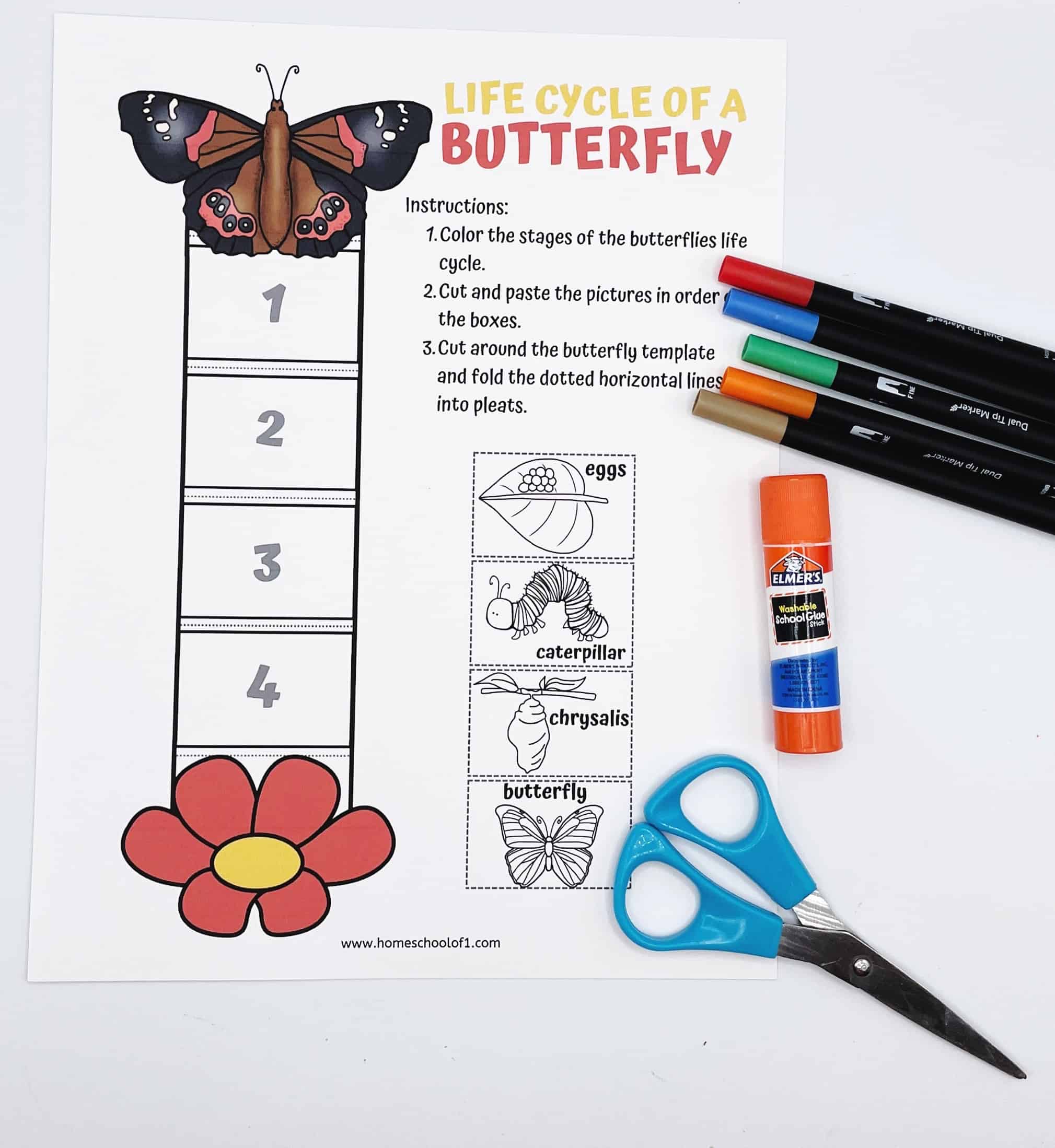 life-cycle-of-a-butterfly-worksheets-7-free-printables