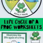 life cycle of a frog worksheets