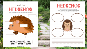 Life Cycle of a Hedgehog (8 free worksheets) - Homeschool of One