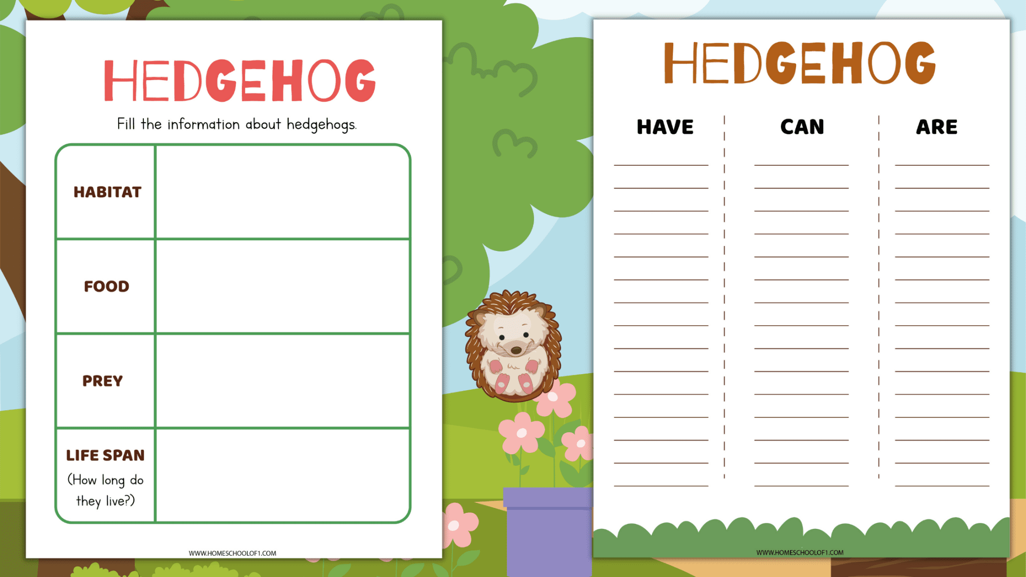 Life Cycle of a Hedgehog (8 free worksheets) - Homeschool of One