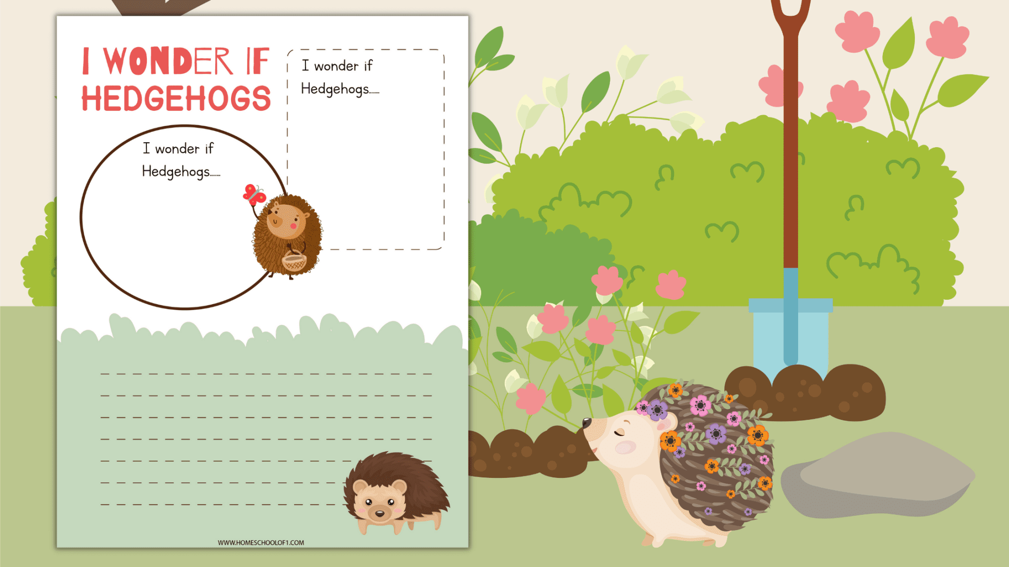 Life Cycle of a Hedgehog Worksheets (8 free pages) - Homeschool of 1