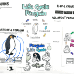 free printable life cycle of a penguin worksheets