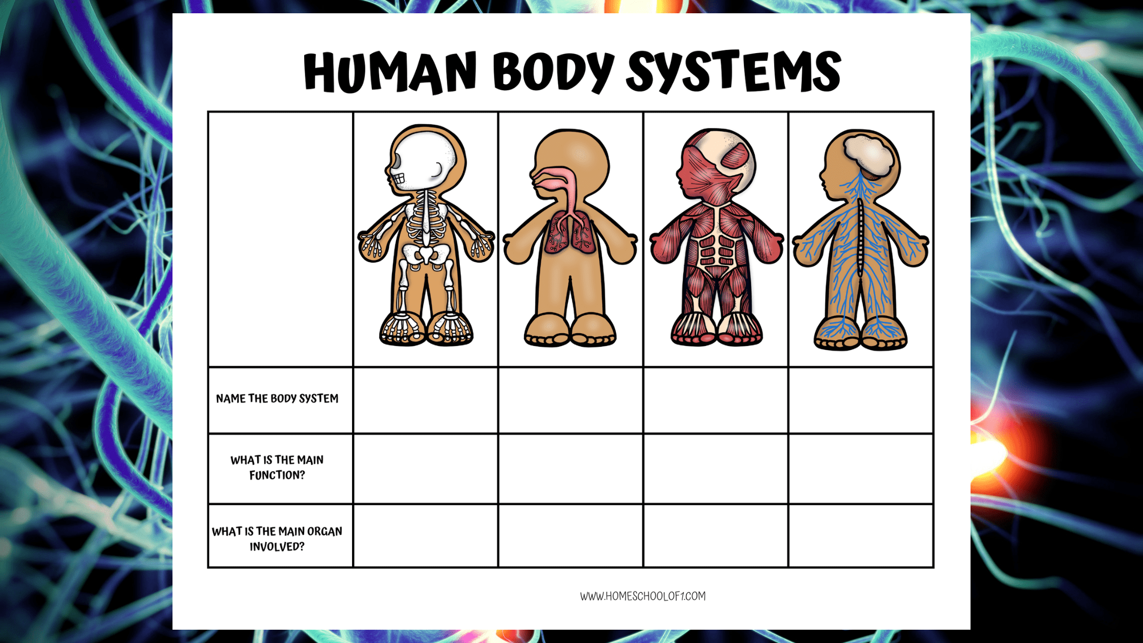 8 Free Printable Human Body Systems Worksheets For Kids