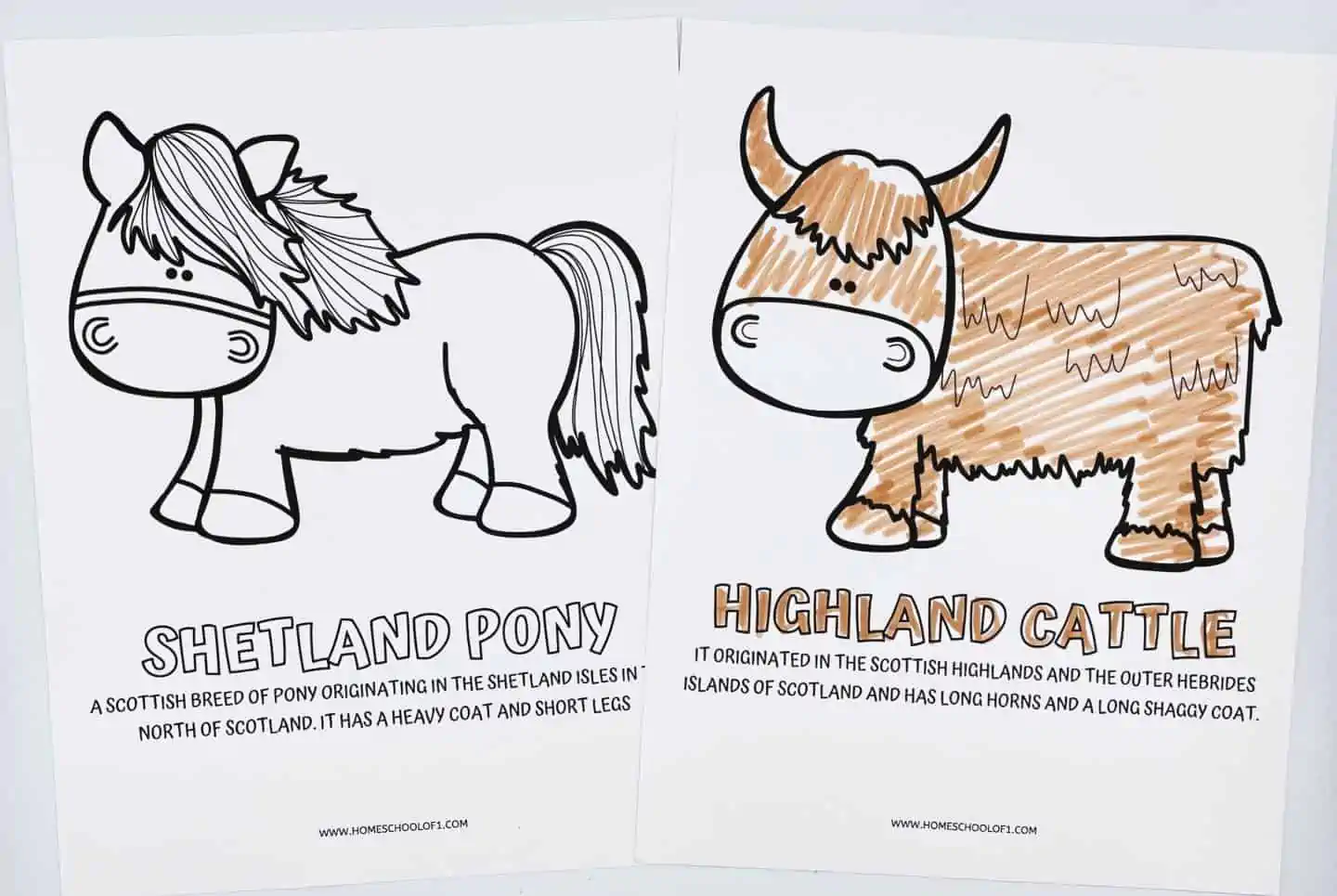 scottish animals