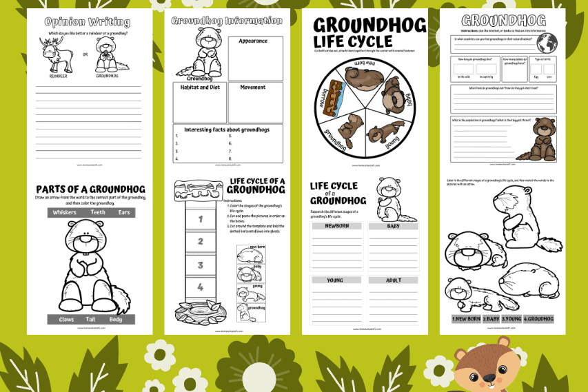 Life Cycle of a Groundhog Worksheets (8 Free Printables)