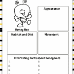 honey bee information