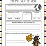 honey bee life cycle