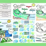 free water cycle worksheets