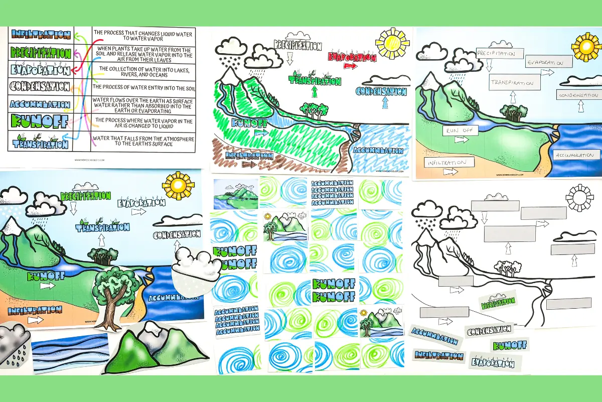 free water cycle worksheets