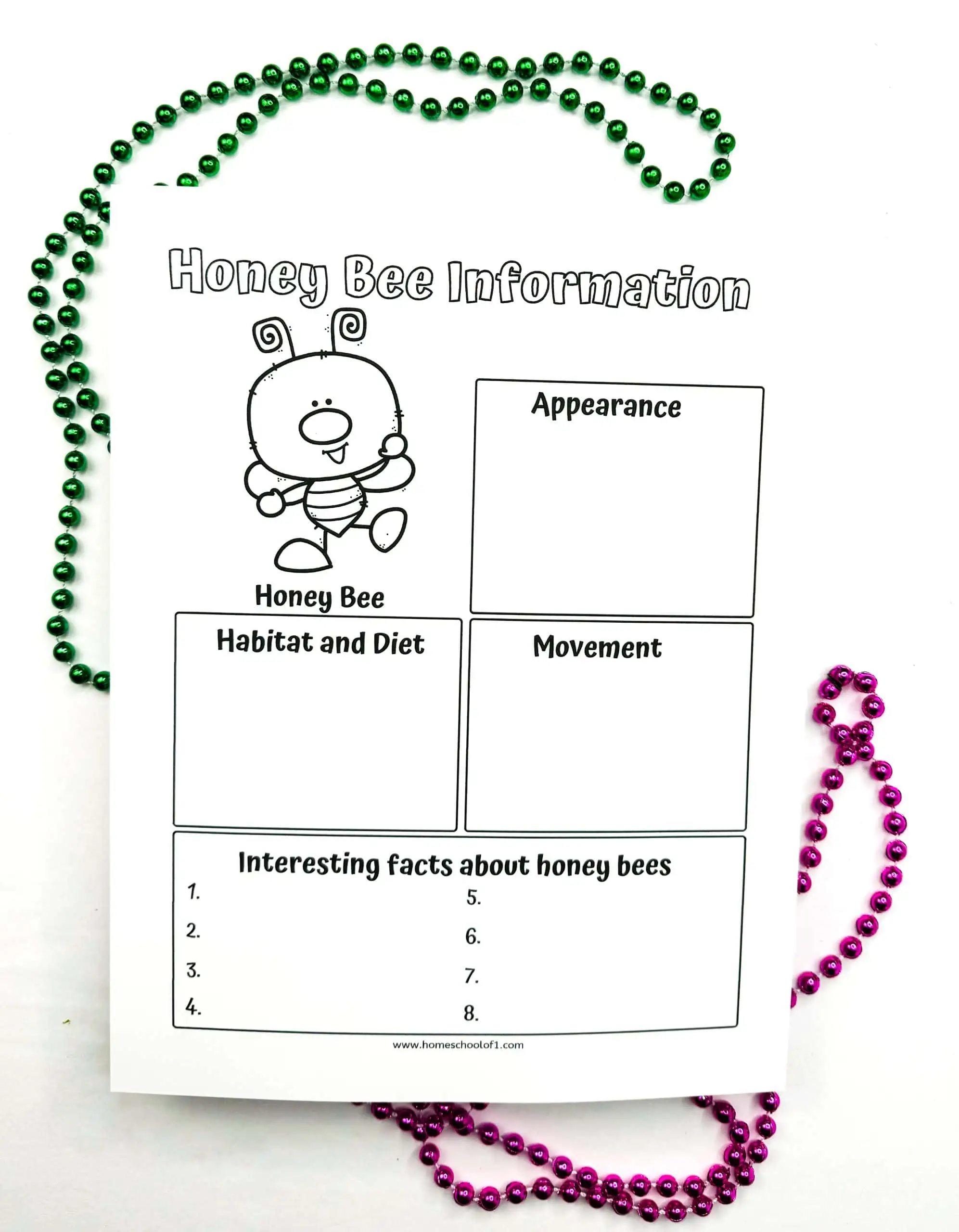 honey bee life cycle worksheet