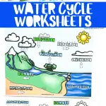 water cycle worksheets free printable