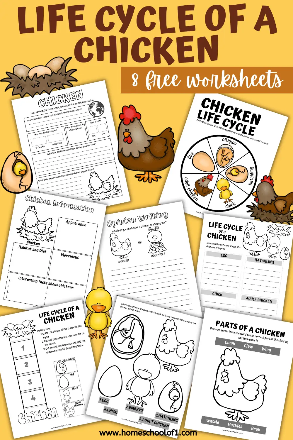 Free Life Cycle Of A Chicken Worksheets Homeschool Of 1