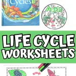 LIFE CYCLE WORKSHEETS