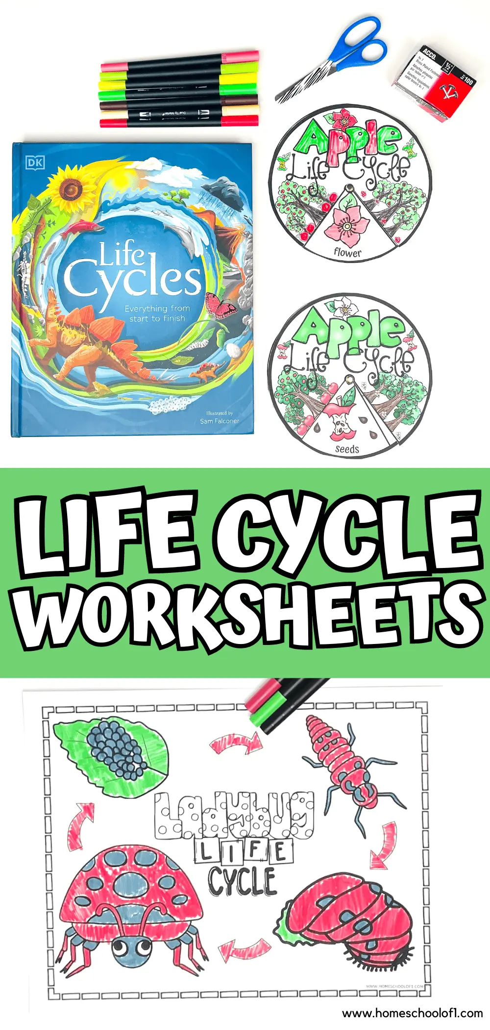 LIFE CYCLE WORKSHEETS