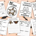 bat life cycle worksheets