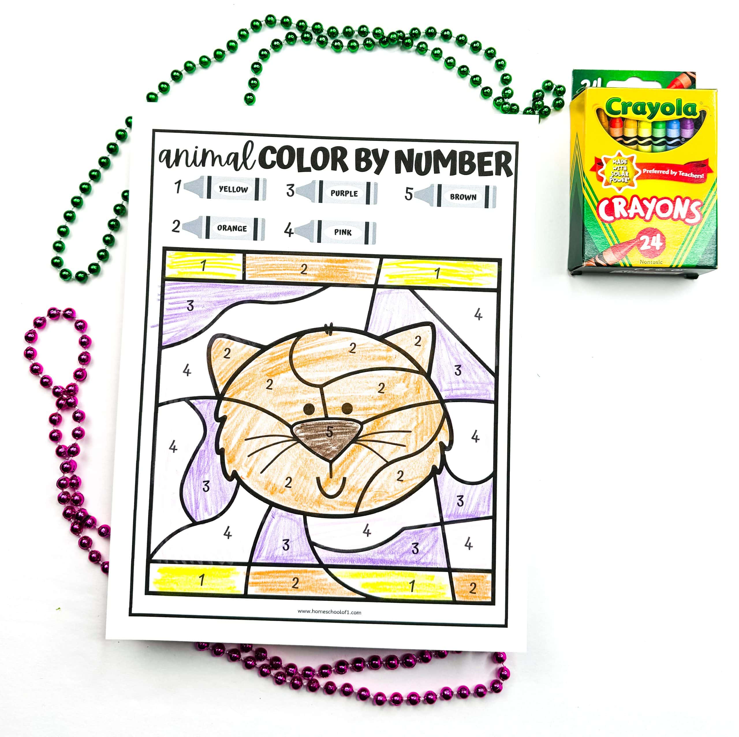 cat color by number printable